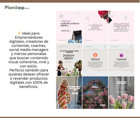 Trendy Stickers Carousel – Pack de Carruseles Estéticos (MRR + PLR)