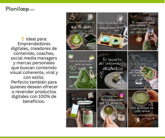 Green Aesthetic Carousels – Pack de Carruseles Estéticos (MRR + PLR)